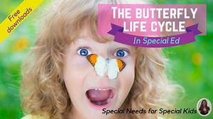 Butterfly Life Cycle in Special Ed • Special Needs for Special Kids