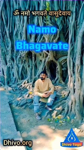 Samaveda based Mantra chanting _ Om Namo Bhagwate Vasudevaya Mantra by Dhivo #feel #follow #chanting