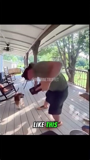 Nobody told him the squirrel was VIOLENT 😭 #shorts #funny #viral