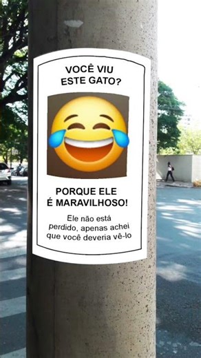 vc viu este gato porque ele é maravilhoso ele não perdido.apenas achei que vc deveria vê-lo 😂💀👁👄👁😂😂😂