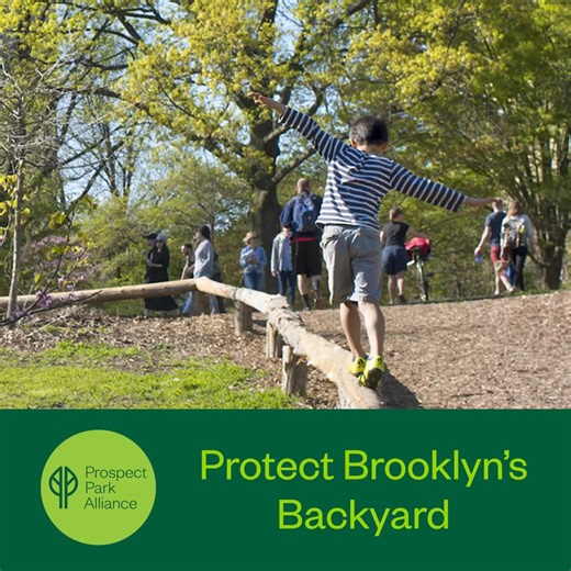 From meadows to trails, Prospect Park is sustained by people who care. Learn how Prospect Park Alliance helps this space flourish. | Prospect Park