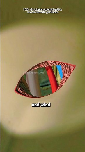 Cervical Discectomy Procedure (3D Animation)