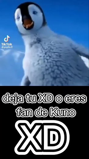 Animated Penguins Play in a Snowy Wonderland