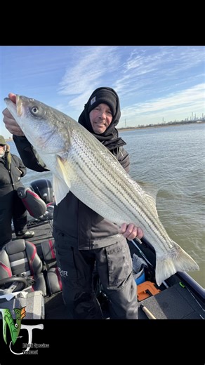 Jigging winter striped bass! #fishing #bass #catchandrelease #outdoors #nature