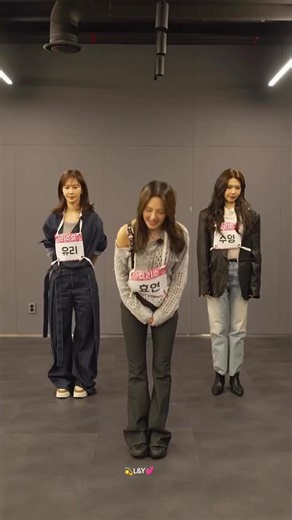 SNSD Hilarious Moments with Hyori and Sooyoung