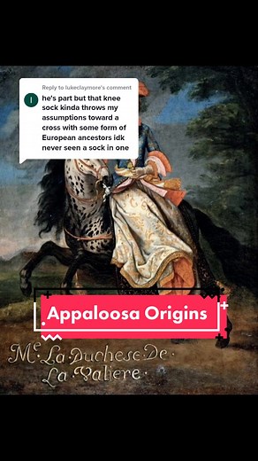 MonsterMagnetApHC on TikTok