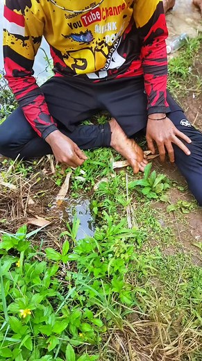 809 reactions · 43 comments | NGUREK TERSANTUY ⁉️‼️ | Amienk Doankz | Facebook