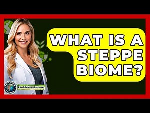 What Is A Steppe Biome? - Earth Science Answers