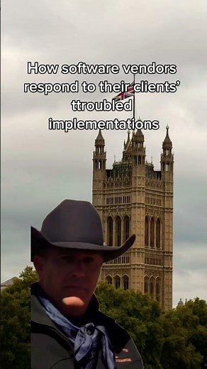 How software vendors respond to implementation challenges