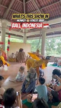 What’s This Show Monkey Forest Ubud, Bali- 🇮🇩