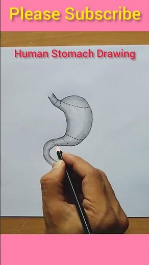 Human Stomach Drawing Tutorial #shorts #stomach #biology