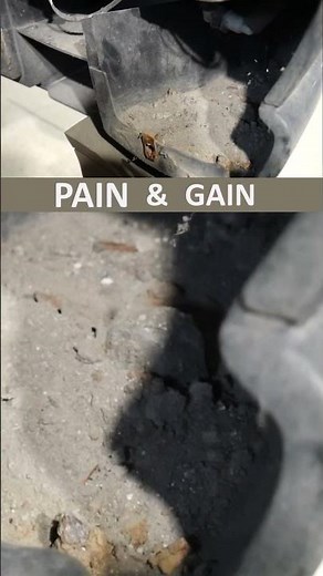 PAIN & GAIN, Vol. 1 | Jaguar S-Type Restoration