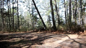 Stop by and see us today from 9am to 1pm at Stoney Creek Chincoteagues, 3395 Willow Street, next to the back gate of the Carnival Grounds! And in the meantime, please enjoy this video of Foal #1 from yesterday's hike! Foal #1 Danny's Girl Splash & Hoppy Bay Pinto Filly First seen 3/15/25 #FoalPatrol2025 | DSC Photography