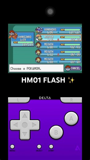 How to use FLASH in Rock Tunnel #pokemon #pokemonchannel #pokemonfirered #emulator #delta #gameplay
