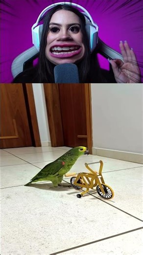 PAPAGAIO BASTIDORES 🦜IB@Kennyslowbird