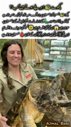 Poisonous Turtles 🐢 | Amazing Nature Facts Wildlife Animal #turtle #naturefacts #wildlife #shorts