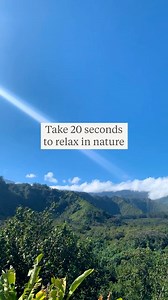 In honor of Earth Day, take a brain break and enjoy 20 seconds of nature 🌎🌳☀️✨ | Walgreens