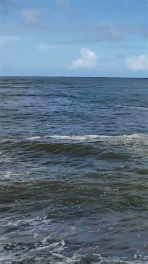 Gentle waves on Hilo's Lava Shore! #hawaii #travel #hilohawaii #coast #waves #youtubeshorts