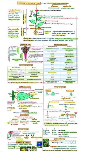How to make SHORT NOTES for NEET 2026 ✅ || #shorts #neet #pw #neet2026