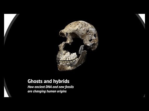 Ghosts and Hybrids: How ancient DNA and new fossils are changing human origins