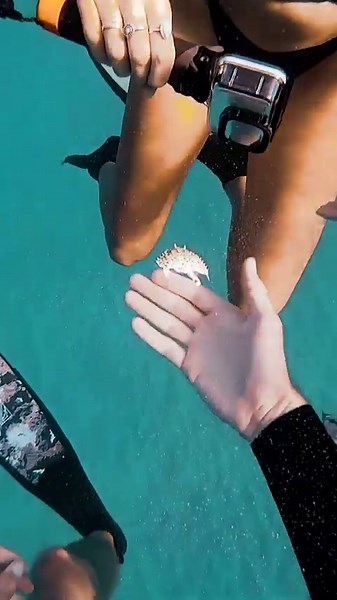 Cleaning the ocean with my friend Brittany