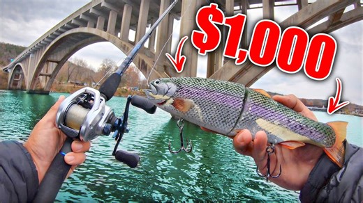Using most expensive swimbait lands surprising catch