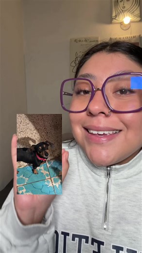 Cómo hacer que las imágenes cobran vida 🫵🏻👀 #tutorial #ia #app #fotoanimada #inteligenciaartificial