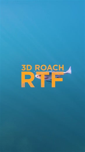 3D Roach RTF 🐟💨 On a road trip through open water 🐊🌊 What happens when a roach 🐟 leaves the swarm? Tell us your thoughts! 🐊👇 #SavageGear #3DRoachRTF #ReadyToFish #Predatorfishing | Savage Gear