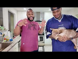 Big Rope Alien French bulldog