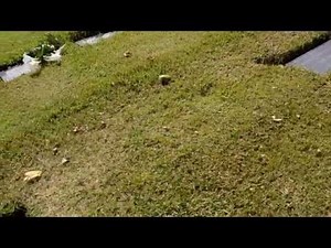 ジョン・ウェイン ここに眠る