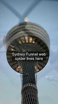 The Heartbreaking Truth About Sydney's Opera House They Never Told You