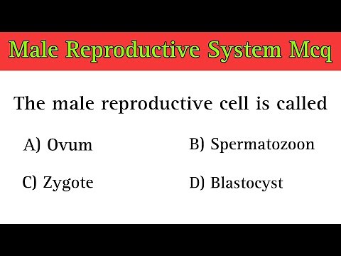 Male Reproductive System Mcq | male reproductive system questions