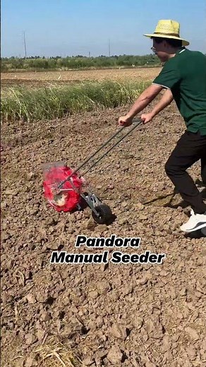 hand push seeder, high efficient hand push corn planter #seeder #farming #shorts