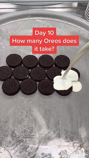 Oreo Ice Cream Rolling Challenge: Day 10 Update