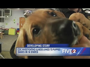 CDC warns about outbreak of puppy-related illness