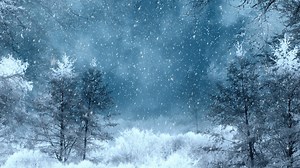 Download Winter Background Loop for free