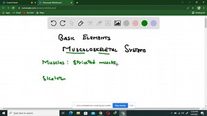 What are the two basic structural elements common to all animal musculoskeletal systems? | Numerade
