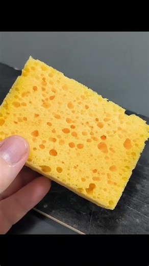 Top Fishing Tricks for a Successful Catch