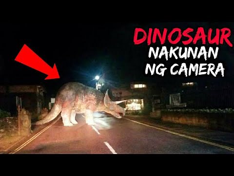 10 Dinosaur na Nakuhanan ng Camera / 10 Dinosaurs Caught on Camera | Historya