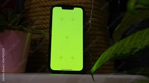 Chromakey on the phone screen. phone with chroma key. phone with greenscreen among plants