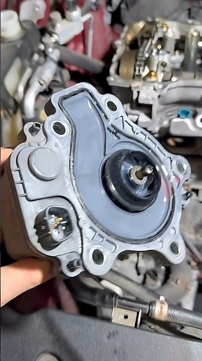 Lexus Ct200H Water Pump Removal #lexus #mechanic #repair