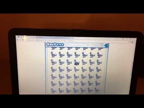 How to Make a Pure on Ovipets