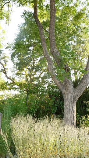 To anybody watching me: You are capable of anything I can do. I have never been special in my life. But neither have any of your favorite influencers. Don’t let a screen EVER covince you that you are just a “viewer” or a “follower”. Every single person on this planet is better than me at SOMETHING If not, multiple things. Let people doing things on the internet motivate you. Motivate you, to do what you want in this life. Convince you, anybody can do anything anybody else can. And afford you, th