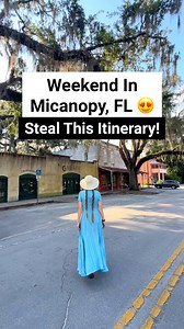 The perfect weekend in Micanopy itinerary! Micanopy is one of the cutest small towns in Florida! You go for antique shopping, some great southern BBQ, small town charm, and Paynes Prarie Preserve state park. This is one of the best weekend getaways in Florida! #smalltown #antique #antiqueshop #antiqueshopping #micanopy #HiddenGems #gainesville #gainesvillefl #floridavacation #weekendgetaway #itinerary #thingstodo | Florida Trippers