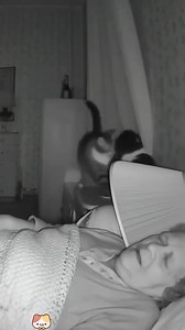 25K views · 301 reactions | FOOLS WHO iGNORED THEiR CAT OPERATiNG iNSTRUCTiONS: 'CLOSE BEDROOM DOOR BEFORE USiNG' | Michael Ace | Facebook