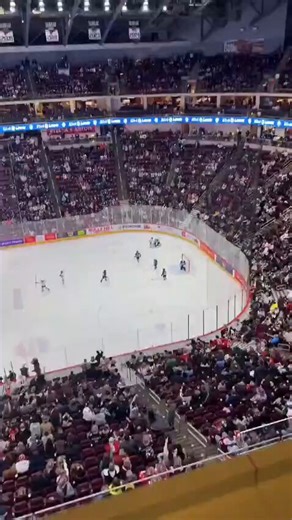 When a Kids Ice Hockey match turned into a Royal-Rumble... 🙈