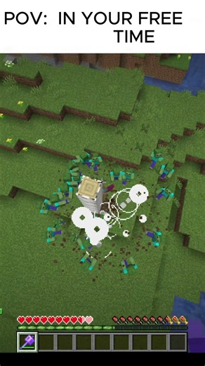IN YOUR FREE TIME #minecraft #dothingsyoudontwanttodo #gaming #minecraftjava #memes
