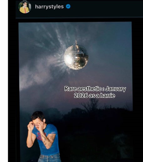 Harry Styles Concert Highlights and Aesthetic Moments