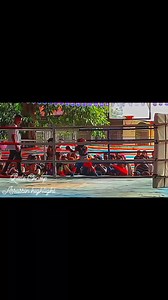 Little Champ Assassin 🥊 Boxing Vedio @highlight | Bryan Son Flores Obrador I