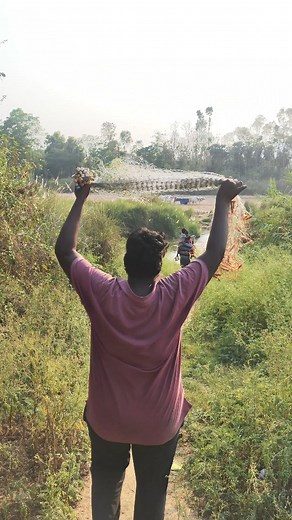 121K views · 8.9K reactions | Net Fishing @wildboybalu . . . . . . . . . #fishingvideos #fishing #fishinglife #onlyfishing #fishingbalu #fishreels #fishingreels #fish #villagefishing #villagefish | Wildboybalu | Facebook